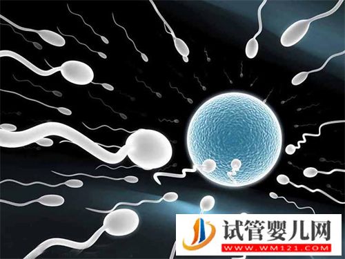 如何通過(guò)正規(guī)渠道購(gòu)買精子庫(kù)精子?(圖2) 如何通過(guò)正規(guī)渠道購(gòu)買精子庫(kù)精子?(圖2)