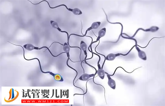 供精試管對女性的傷害有哪些?附降低供精試管對身體傷害的方法(圖2) 供精試管對女性的傷害有哪些?附降低供精試管對身體傷害的方法(圖2)